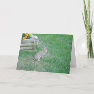 "Rabbit #2" Easter Card