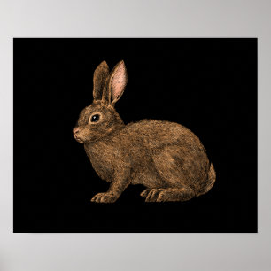 Rabbit 2 poster