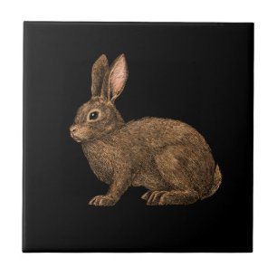 Rabbit 2 tile