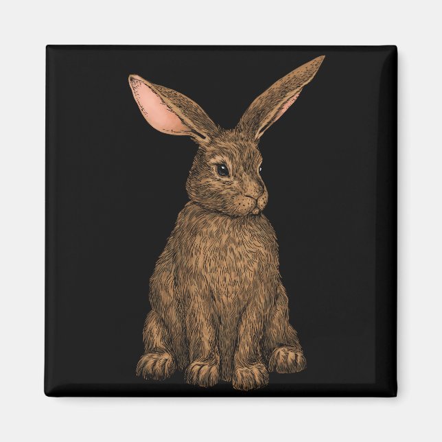 Rabbit 3 magnet (Front)