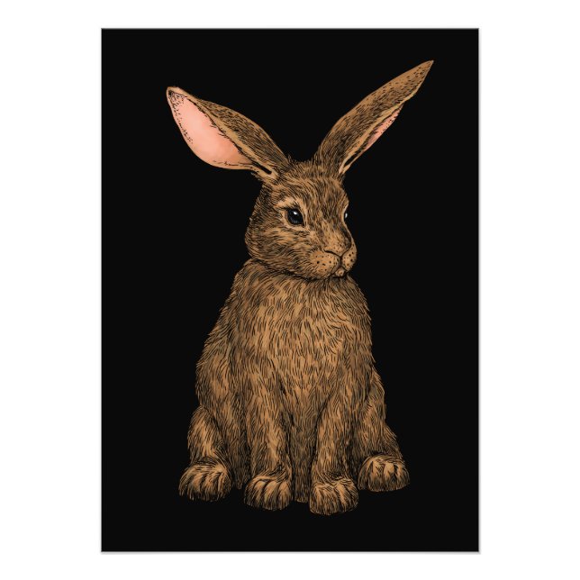 Rabbit 3 photo print (Front)