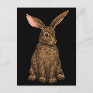 Rabbit 3 postcard