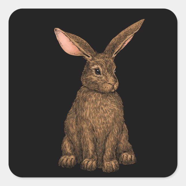 Rabbit 3 square sticker (Front)