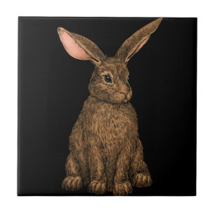 Rabbit 3 tile