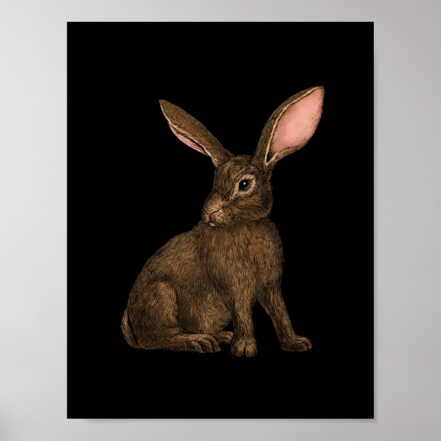 Rabbit 4 poster (Front)