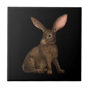 Rabbit 4 tile