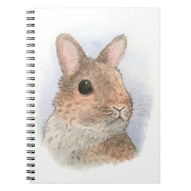 Rabbit 62 bunny notebook (Front)