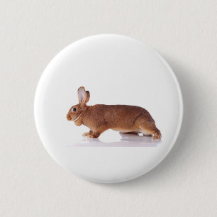 rabbit 6 cm round badge