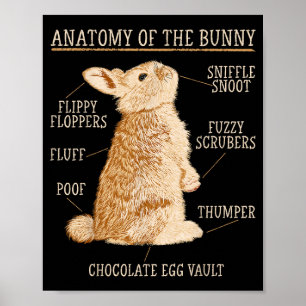 Rabbit Anatomy Bunny Lover Animal Pet Owner  Poster