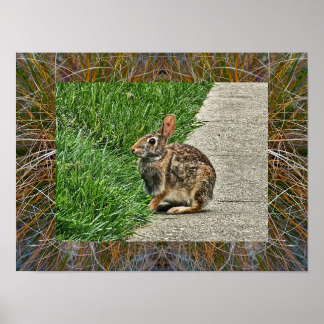 Rabbit art poster (Front)