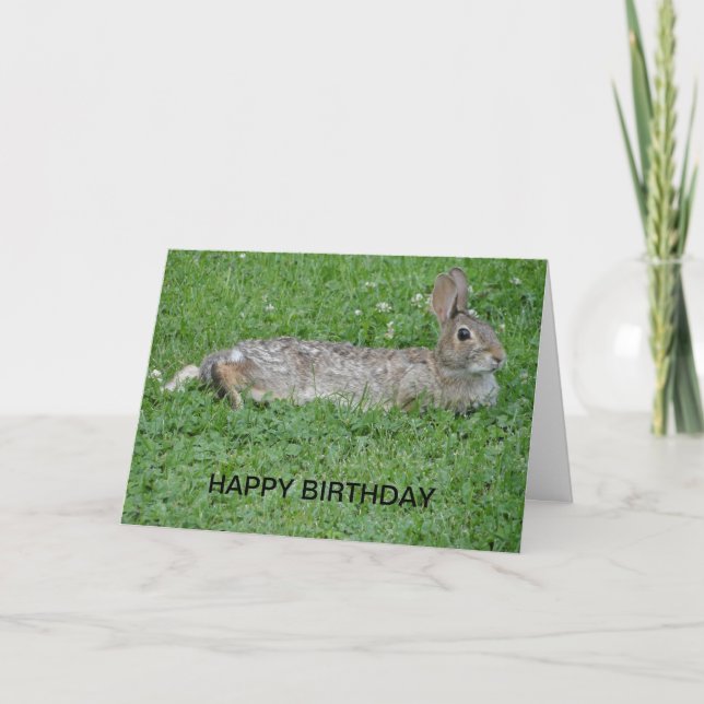 Rabbit, Birthday Card (Front)