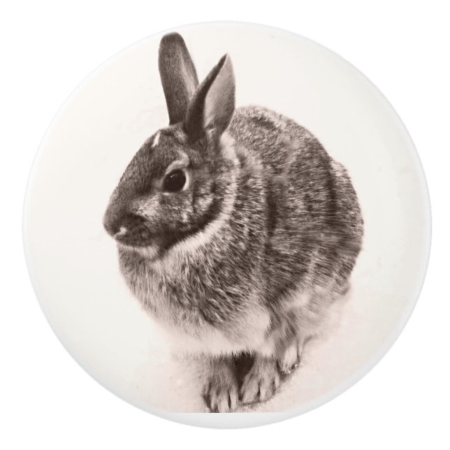 Rabbit  Black and white nob ,drawer pull, Ceramic Knob (Front)