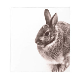 Rabbit  Black and white Notepad