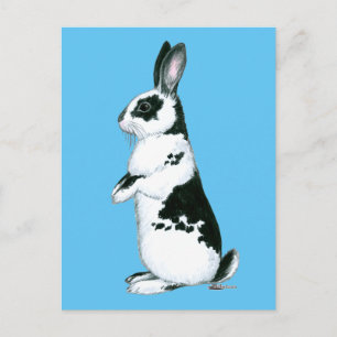 Rabbit:  Black and White Postcard