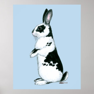 Rabbit:  Black and White Poster