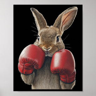 Rabbit Boxing  Poster