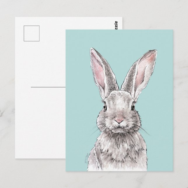 Rabbit Bunny drawing Cute Spring Animal art Postcard (Front/Back)