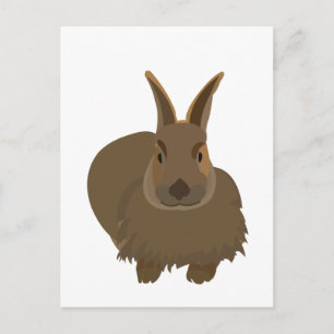 Rabbit Bunny Hare Postcard