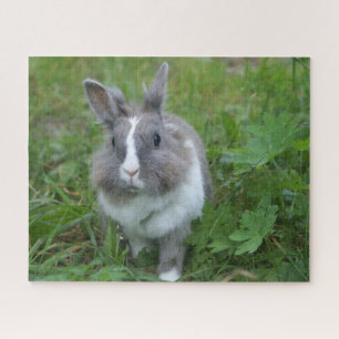 Rabbit bunny jigsaw puzzle