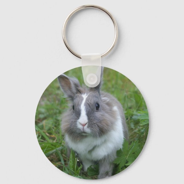 Rabbit bunny key ring (Front)