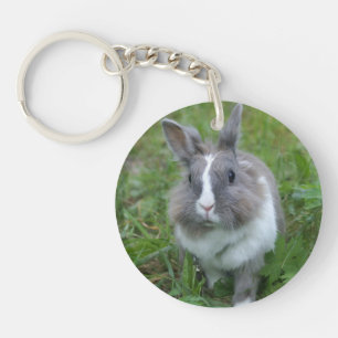 Rabbit bunny key ring