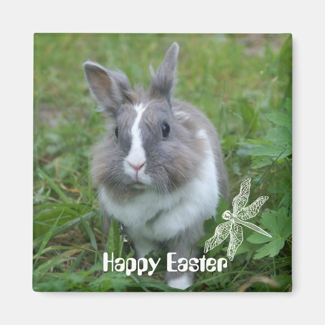 Rabbit bunny magnet (Front)