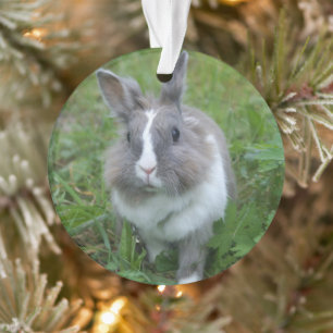 Rabbit bunny ornament