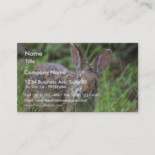 Rabbit Business Card (Front)