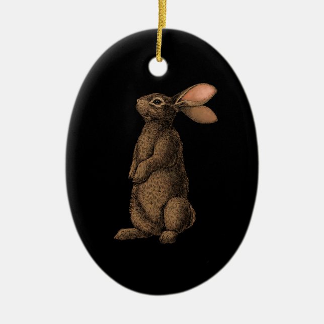 Rabbit Ceramic Tree Decoration (Front)