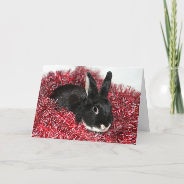 Rabbit Christmas Holiday Card (Front)