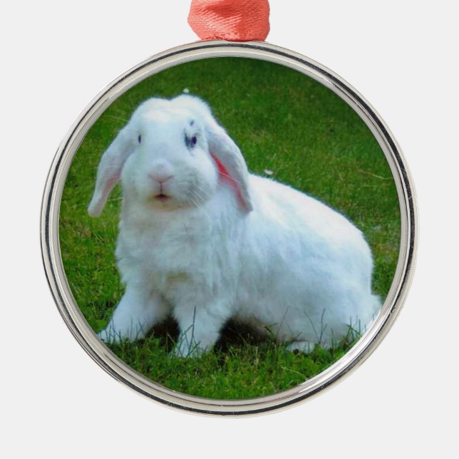 rabbit christmas ornament (Front)
