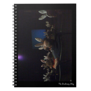 Rabbit Cinema Notebook