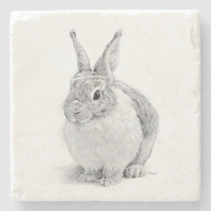 Rabbit Day Stone Coaster