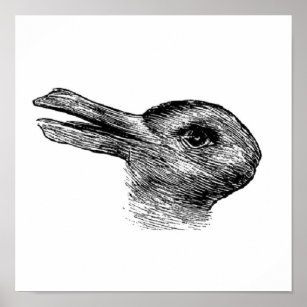 rabbit duck illusion poster