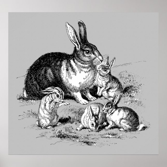 Rabbit Family - Archival Print (Front)