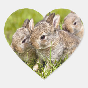 Rabbit Family Heart Sticker