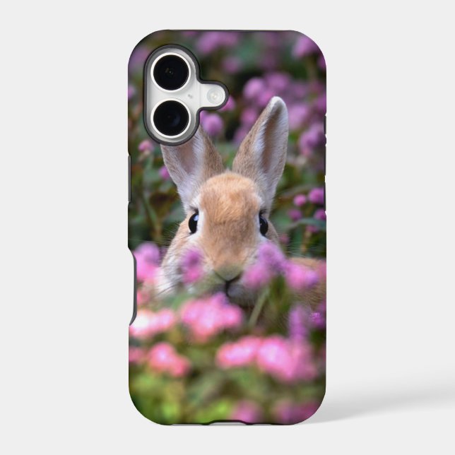 Rabbit farm (Back)