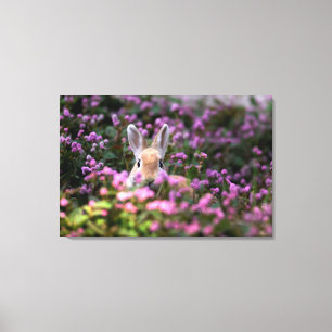 Rabbit farm canvas print