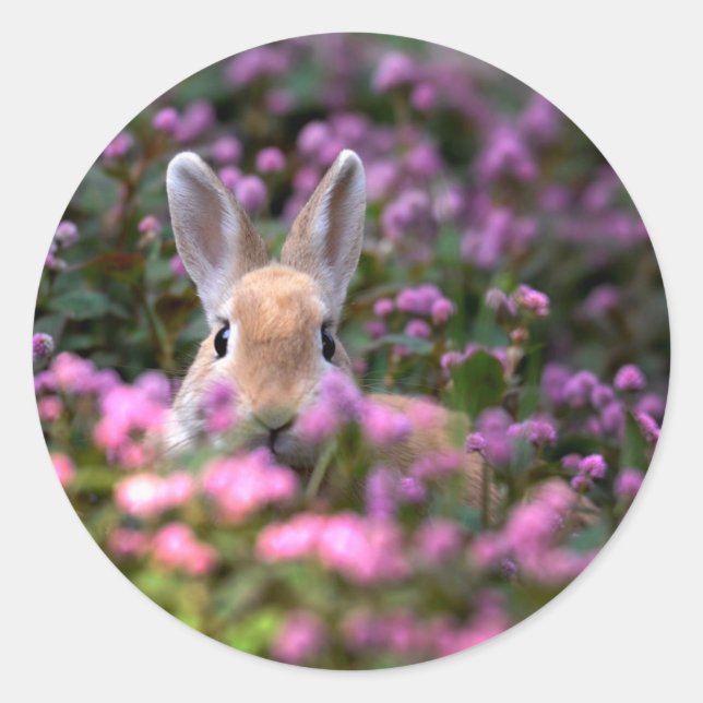 Rabbit farm classic round sticker (Front)