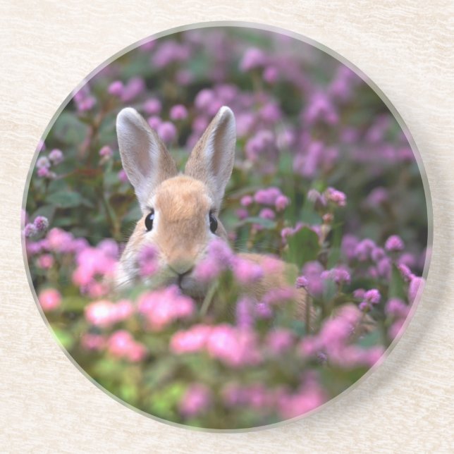 Rabbit farm coaster (Front)