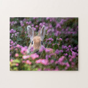 Rabbit farm jigsaw puzzle