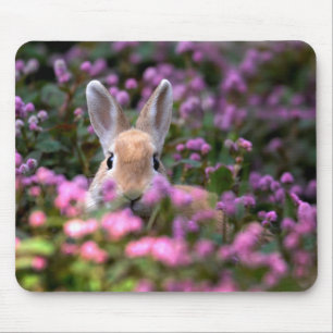 Rabbit farm mouse pad