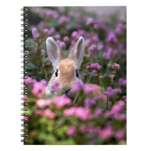 Rabbit farm notebook (Front)
