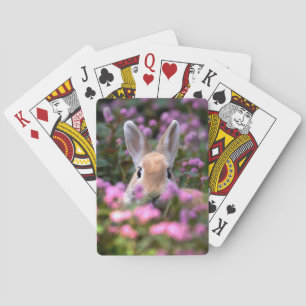 Rabbit farm playing cards