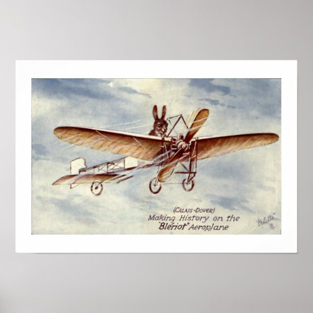 Rabbit Flying a Plane Poster (Front)