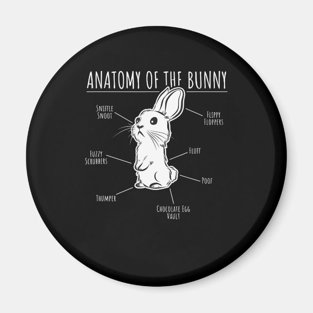Rabbit Gift |Anatomy Of Bunny Cute Rabbit Pet Love Magnet (Front)