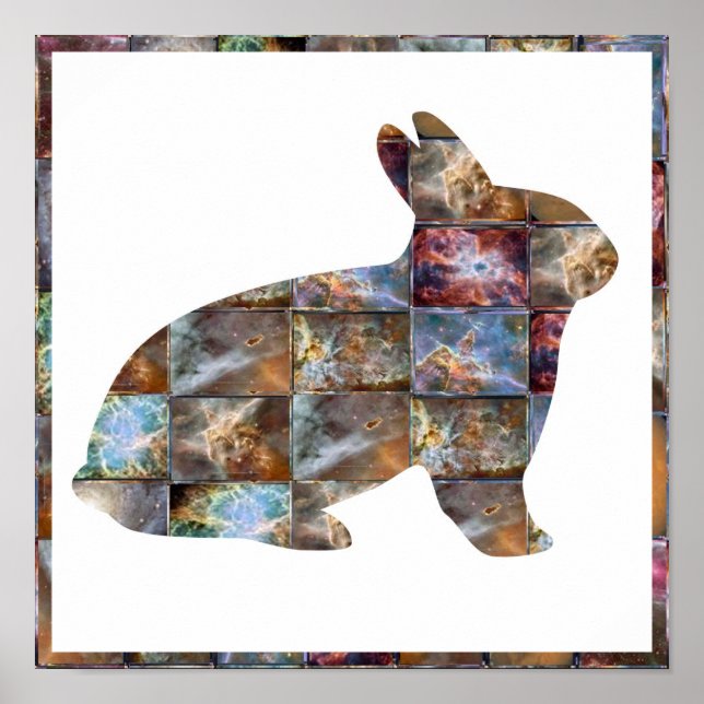 RABBIT : Graphic Design Poster (Front)