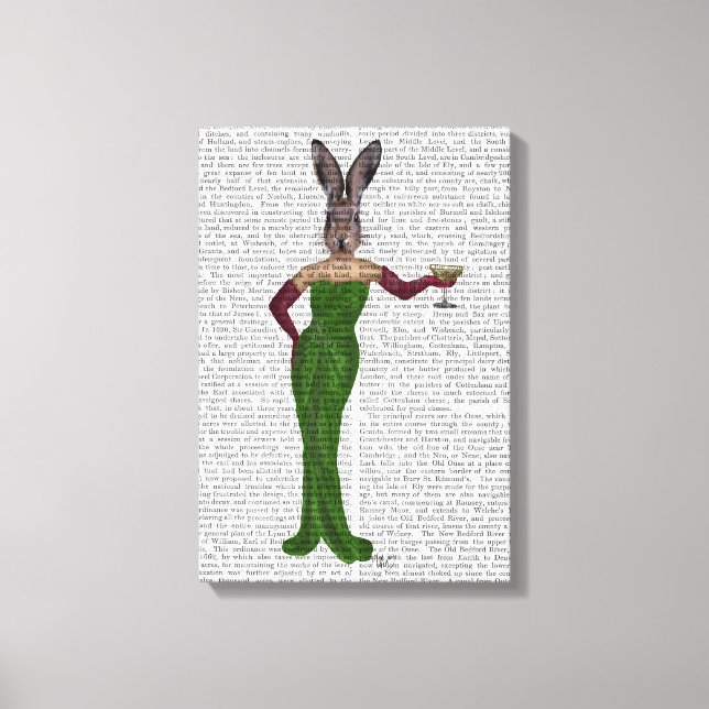 Rabbit Green Dress Canvas Print (Front)