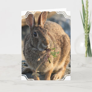 Rabbit Greeting Card