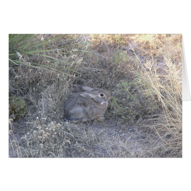 Rabbit Hiding In Grass Card (Front Horizontal)